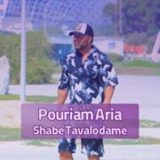 دانلود آهنگ جدید پوریام آریا شبه تولدمه
